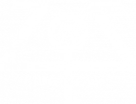Zims